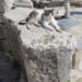 愛犬愛猫におすすめの『大理石ひんやりペットマット』は真夏の必需品！